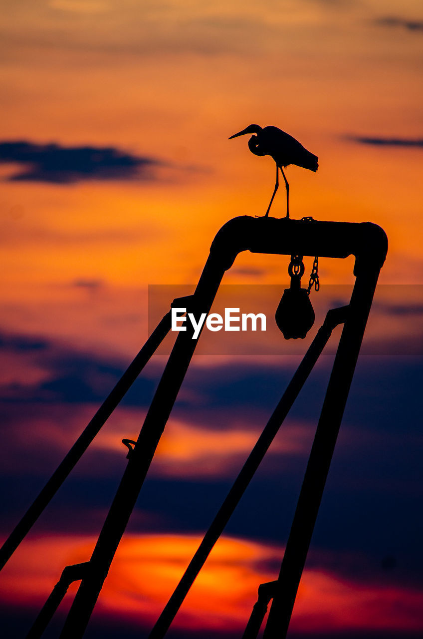 SILHOUETTE BIRD PERCHING ON A POLE AGAINST SUNSET SKY