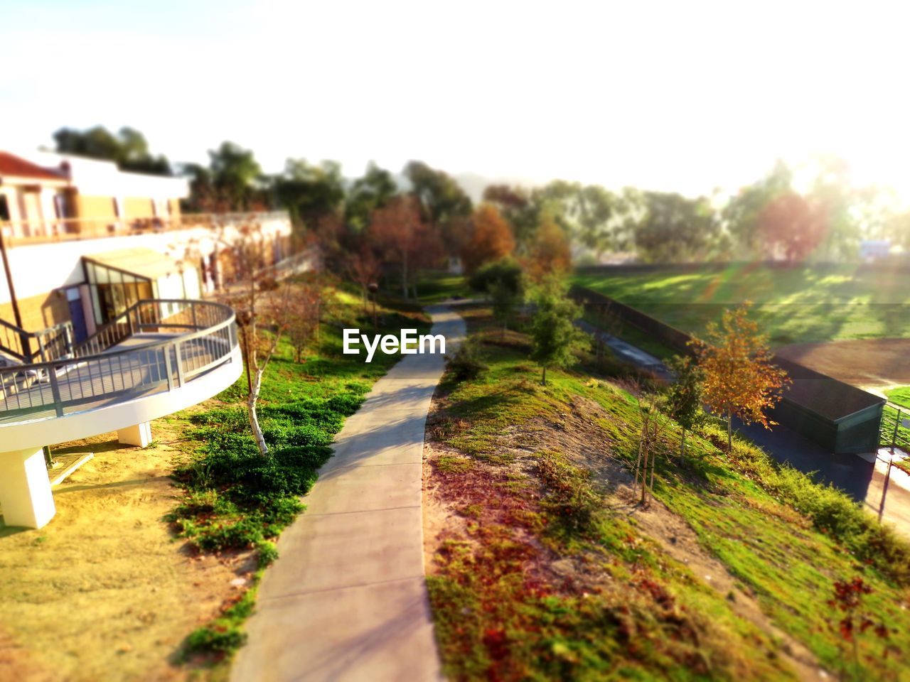 TILT-SHIFT IMAGE OF TREES AND PLANTS AGAINST SKY