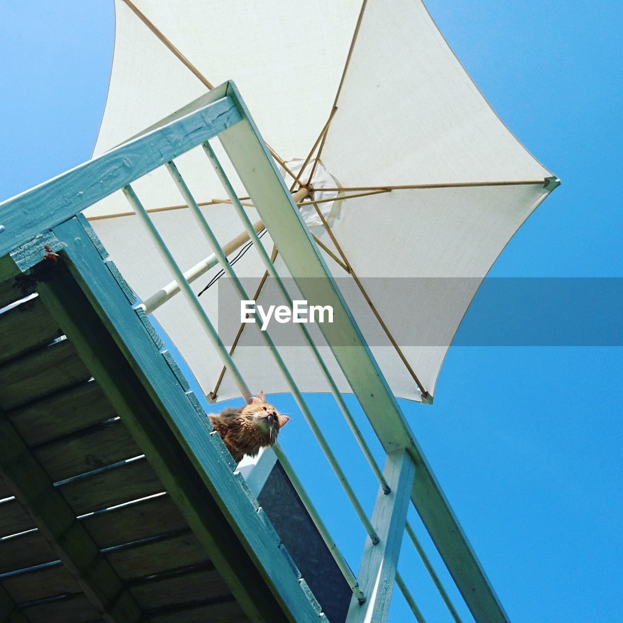 LOW ANGLE VIEW OF MODERN BUILDING WITH SKY