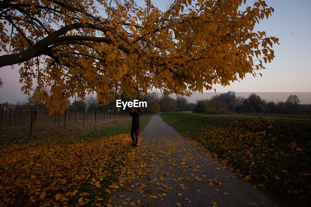 leaf, tree, autumn, morning, plant, nature, sunlight, plant part, landscape, land, one person, environment, sky, beauty in nature, field, rural scene, walking, full length, adult, outdoors, rural area, scenics - nature, yellow, flower, tranquility, lifestyles, leisure activity, footpath, growth, day, men, agriculture, orange color, tranquil scene