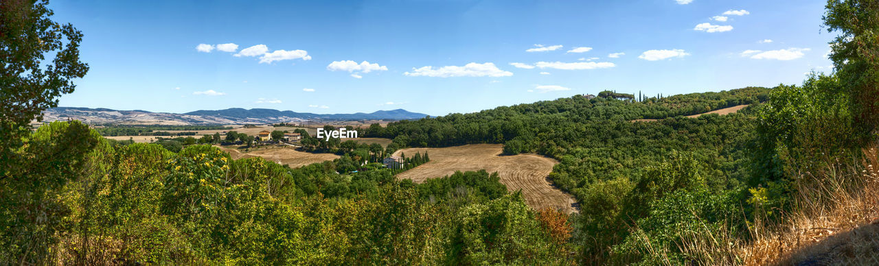 PANORAMIC SHOT OF TREES ON LAND AGAINST SKY