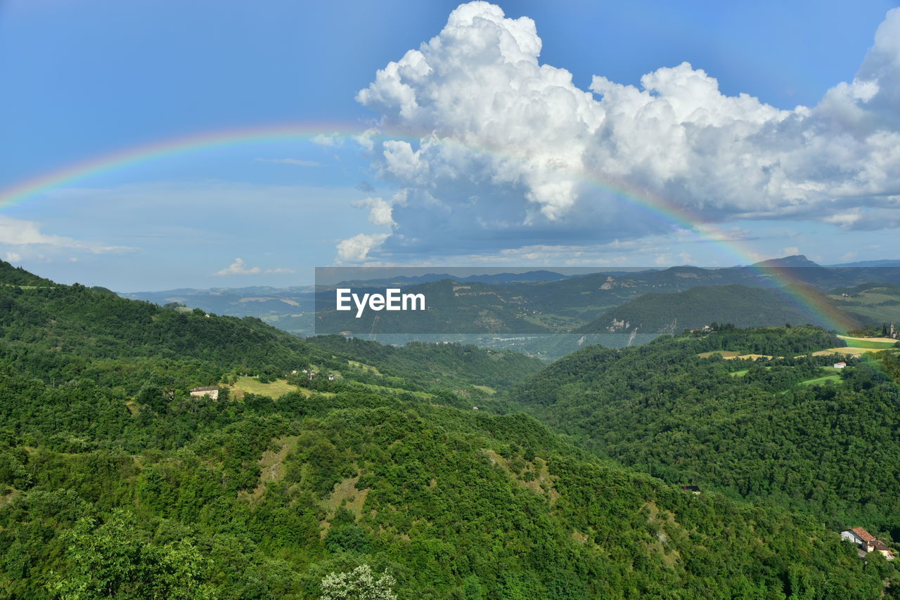 SCENIC VIEW OF GREEN LANDSCAPE AGAINST SKY