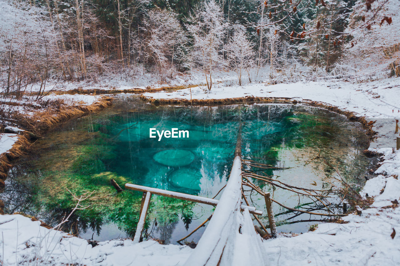 Lake in winter forest