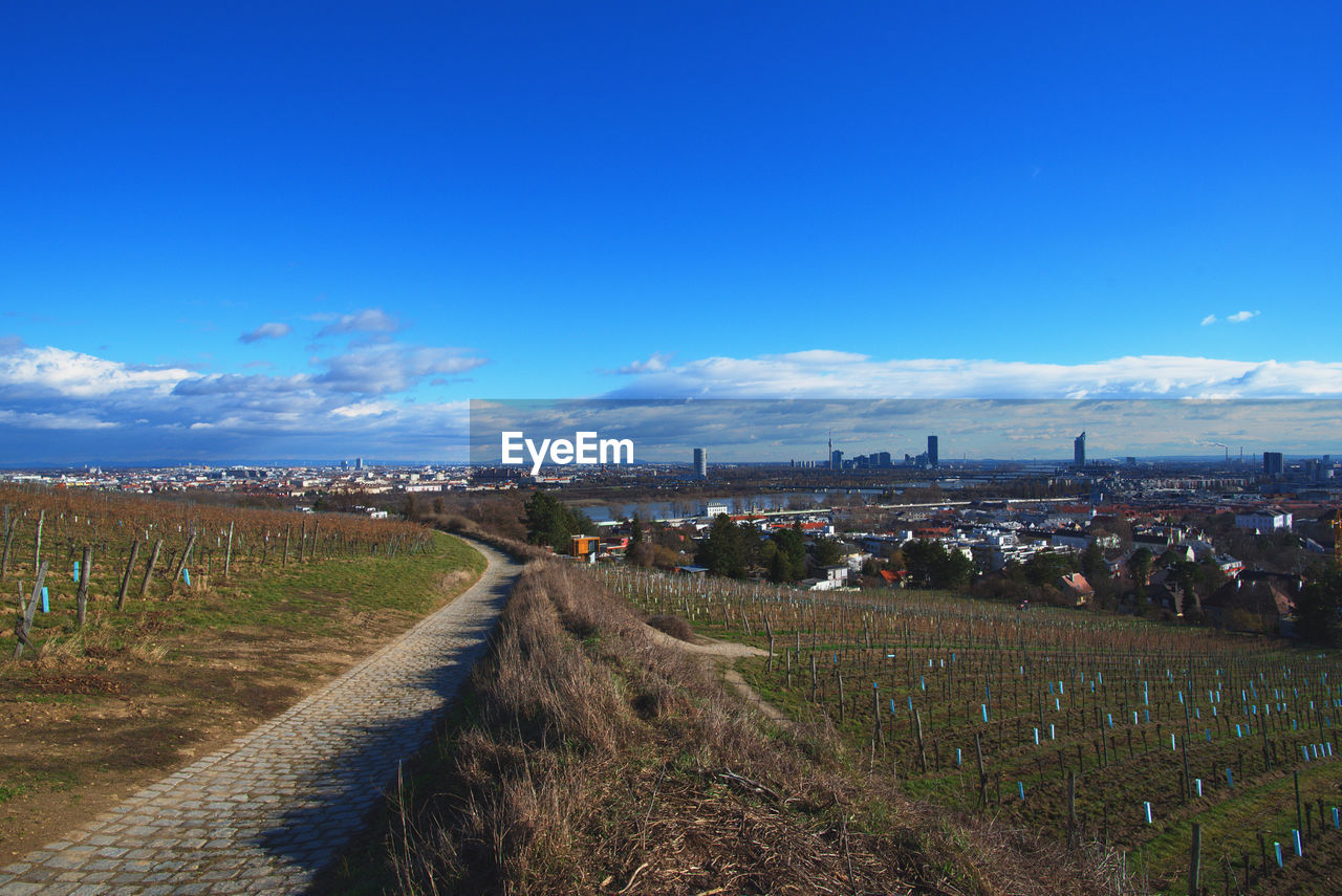 Scenic view of rural landscape