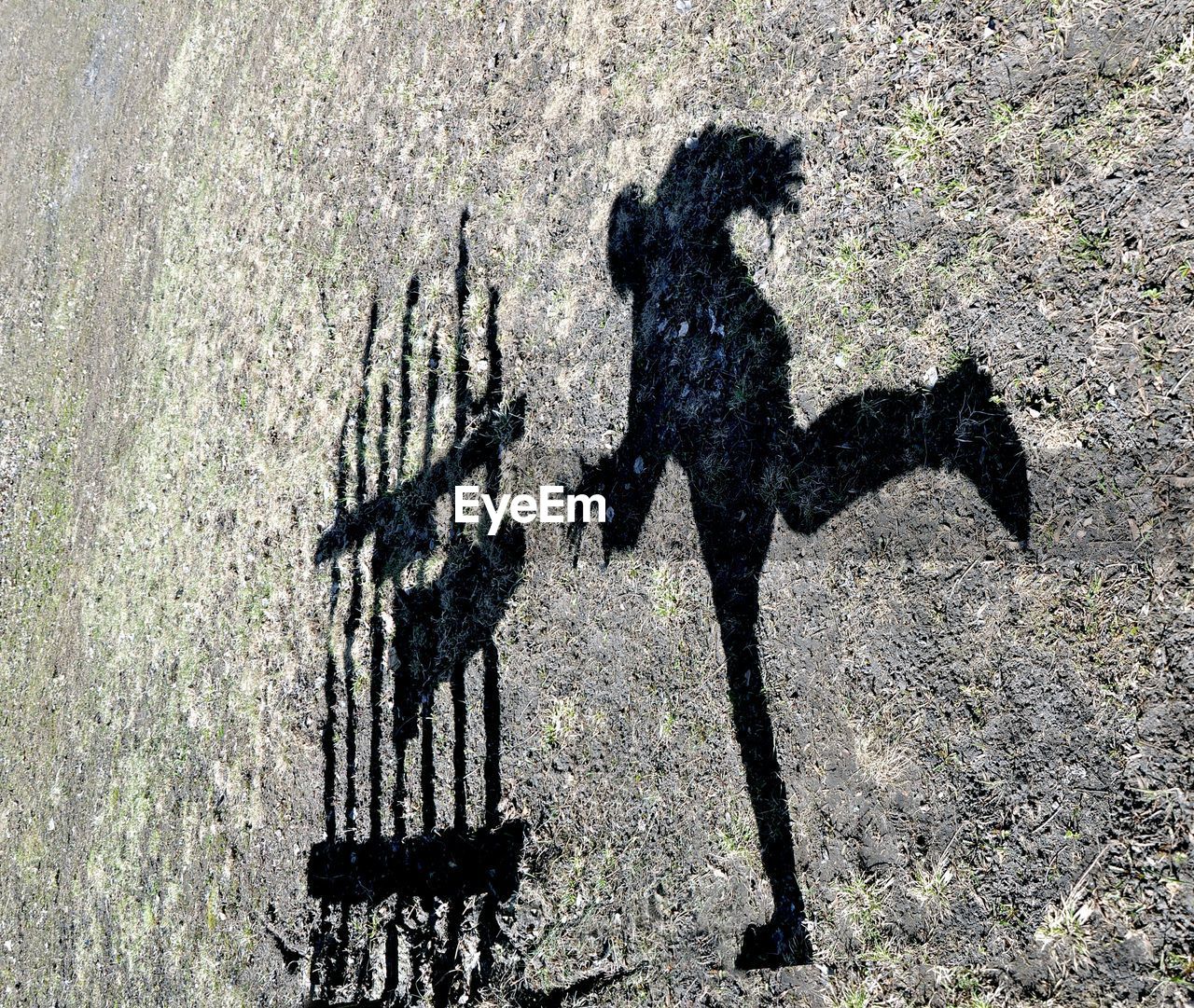 High angle view of person and fence shadow on field