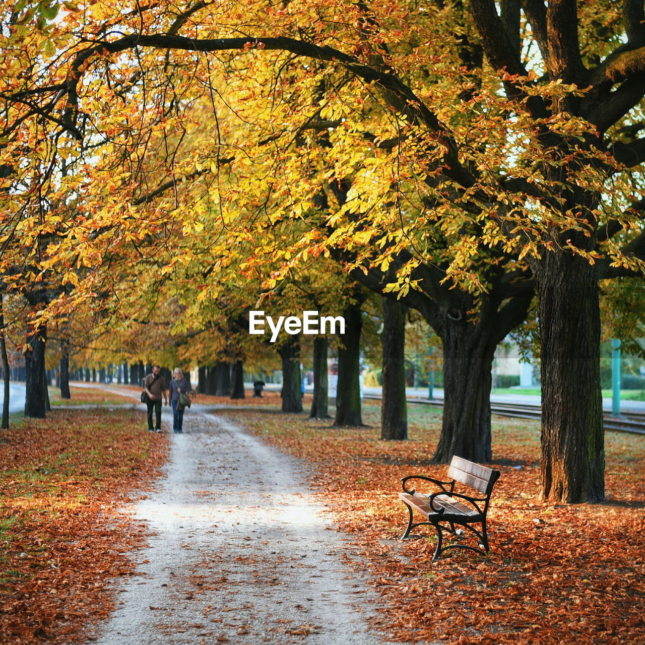 Couple walking on pathway by trees during autumn