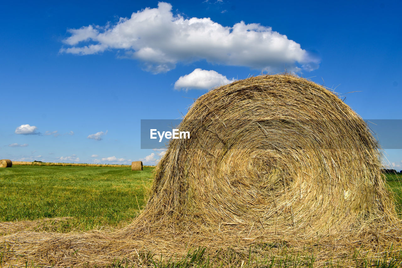 HAY BALES ON FIELD