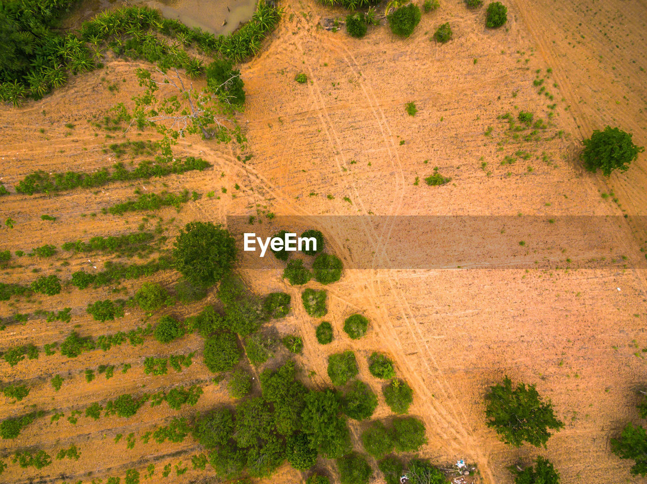 High angle view of trees on landscape