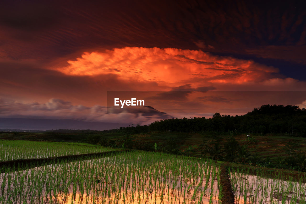 Scenic view of field against sky during sunset