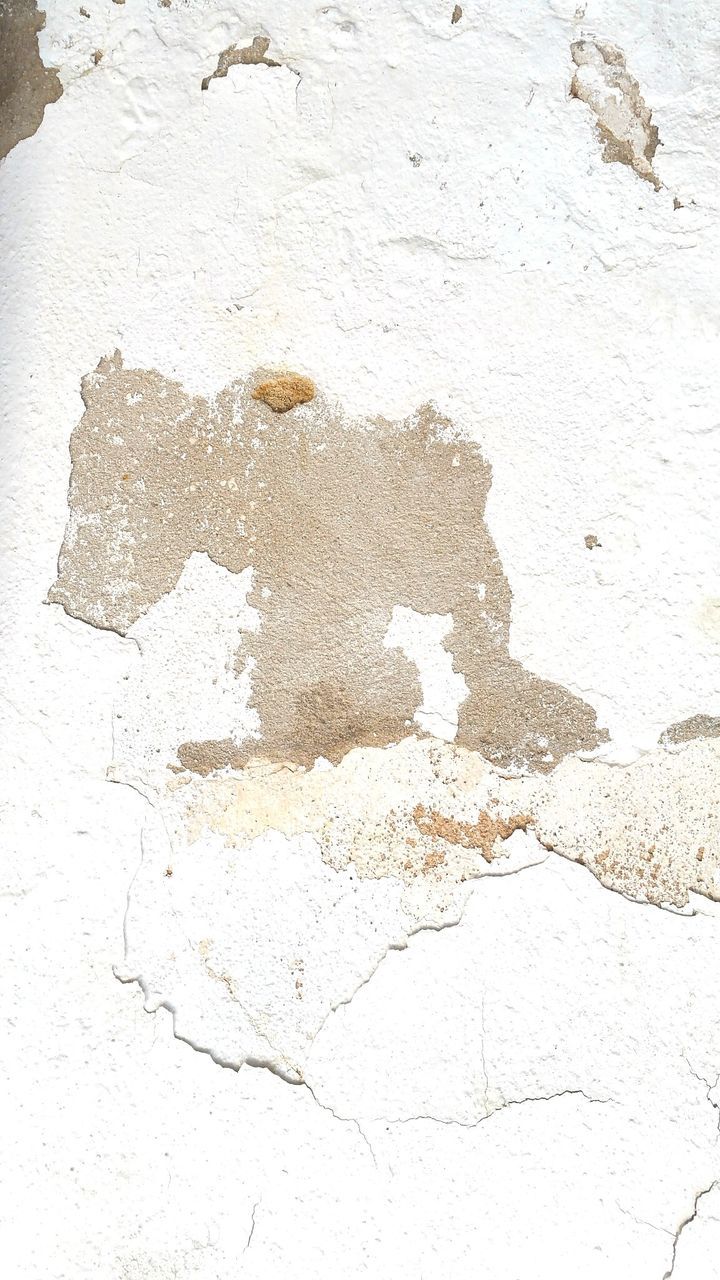 HIGH ANGLE VIEW OF FOOTPRINTS ON SANDY BEACH