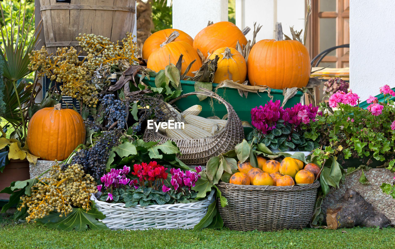 Fruit and flower arrangement in a garden