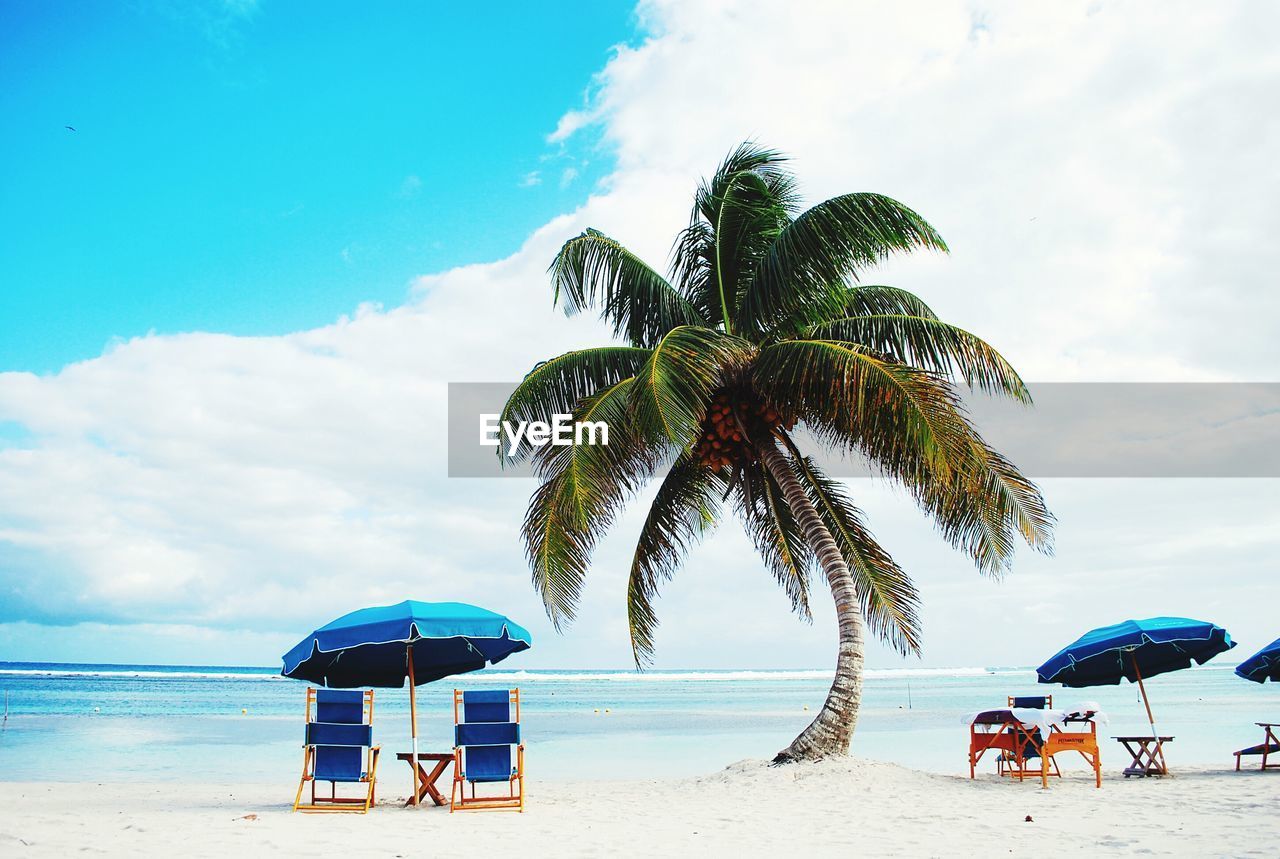Folding chair and beach umbrella by palm tree on shore against sky