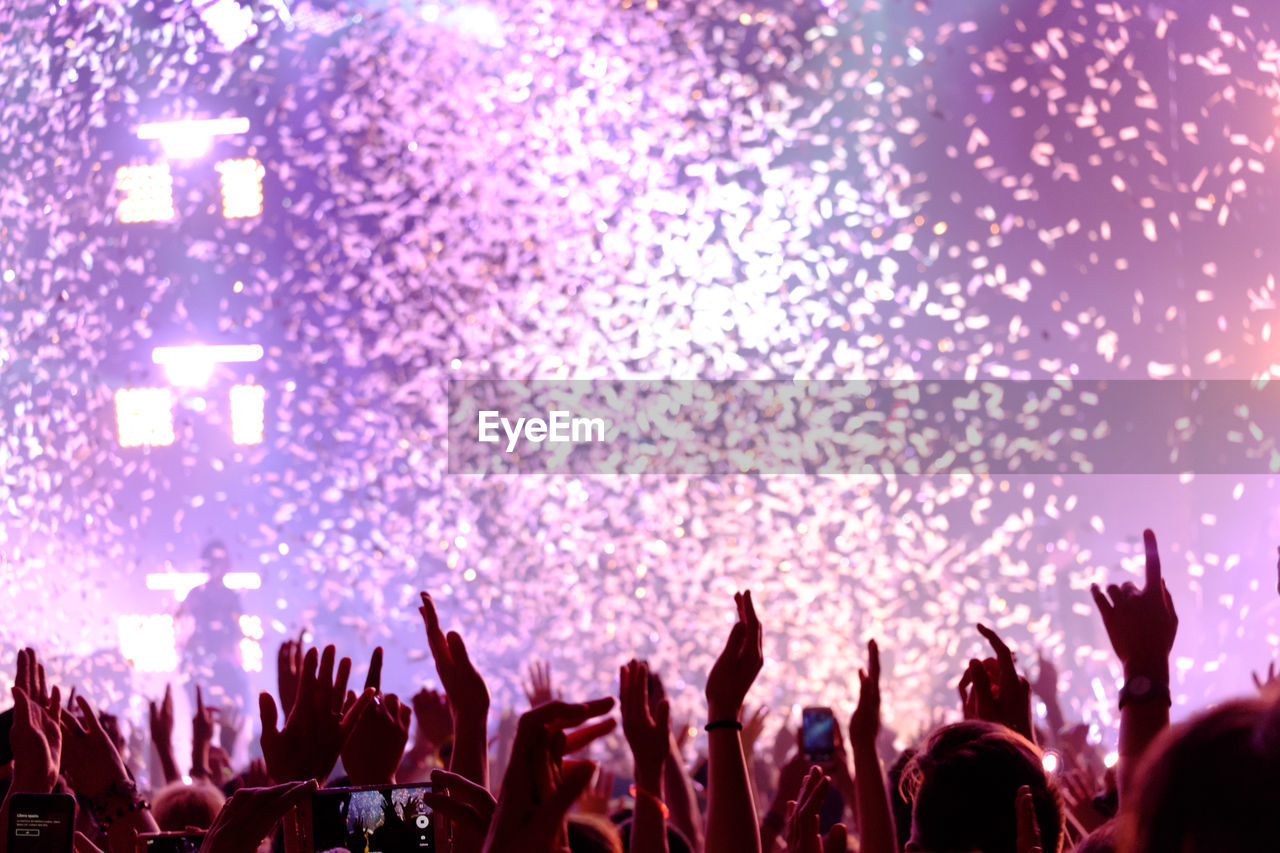 Crowd at music concert