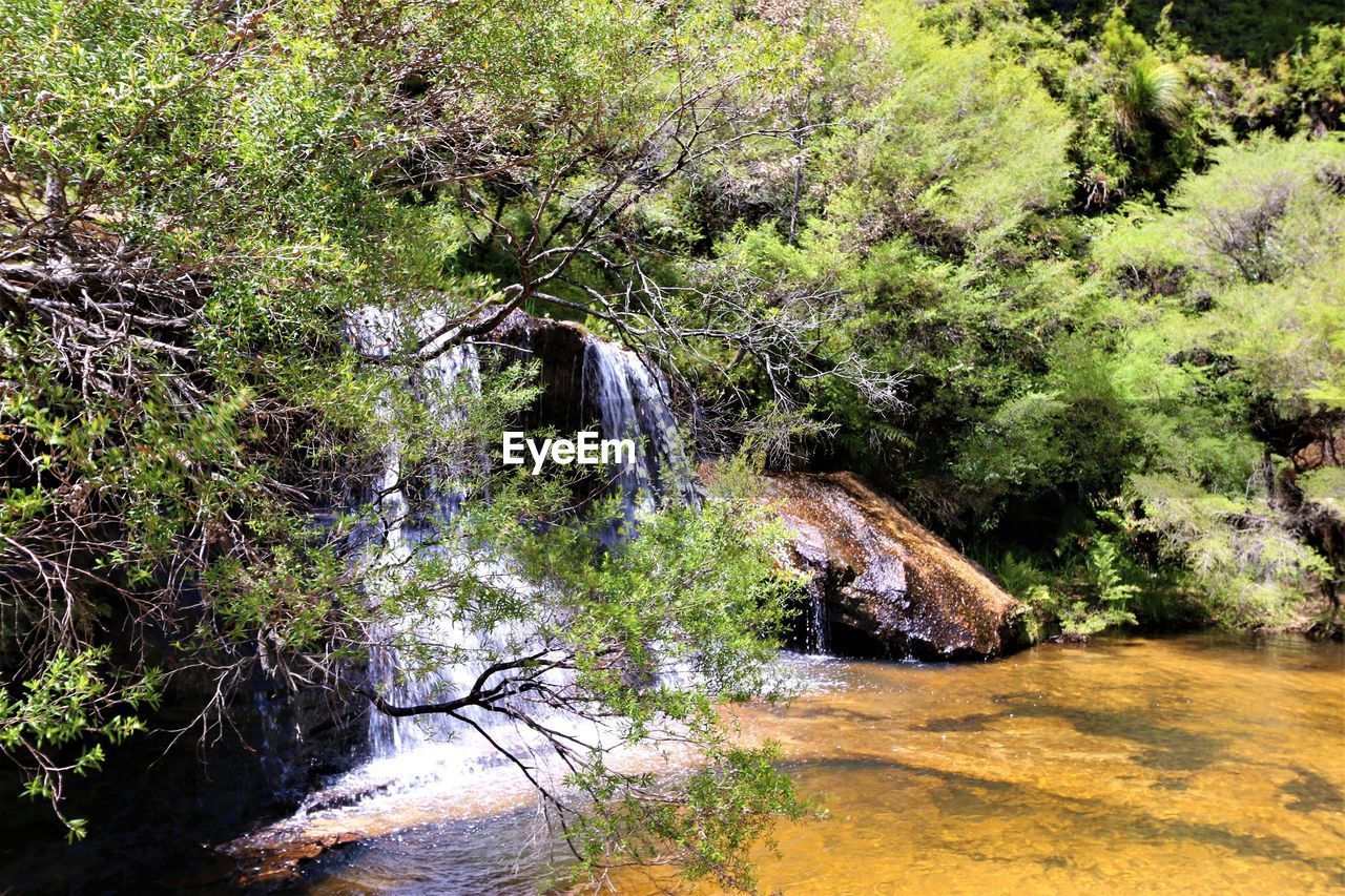 SCENIC VIEW OF WATERFALL