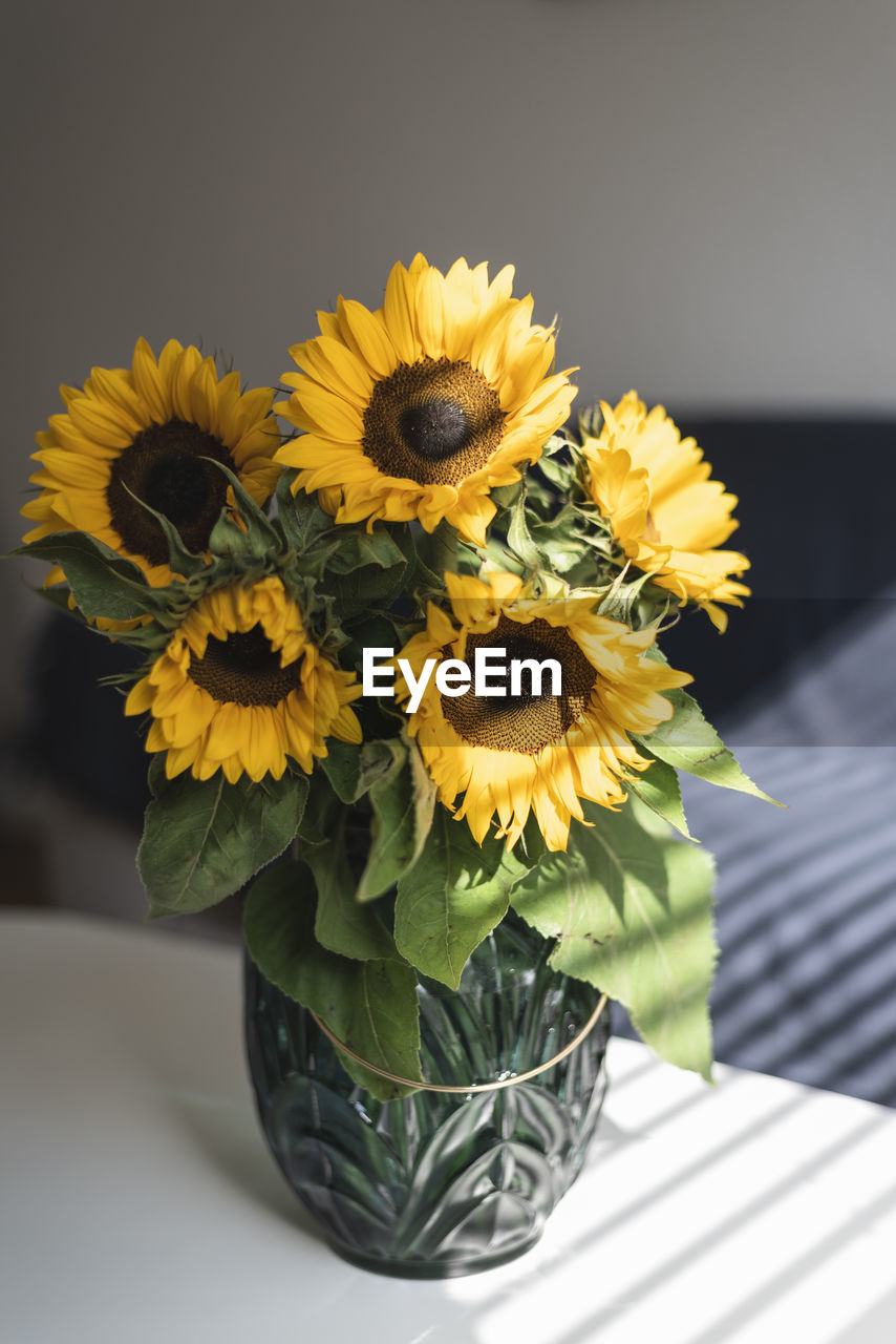 Close-up of sunflowers in vase on table