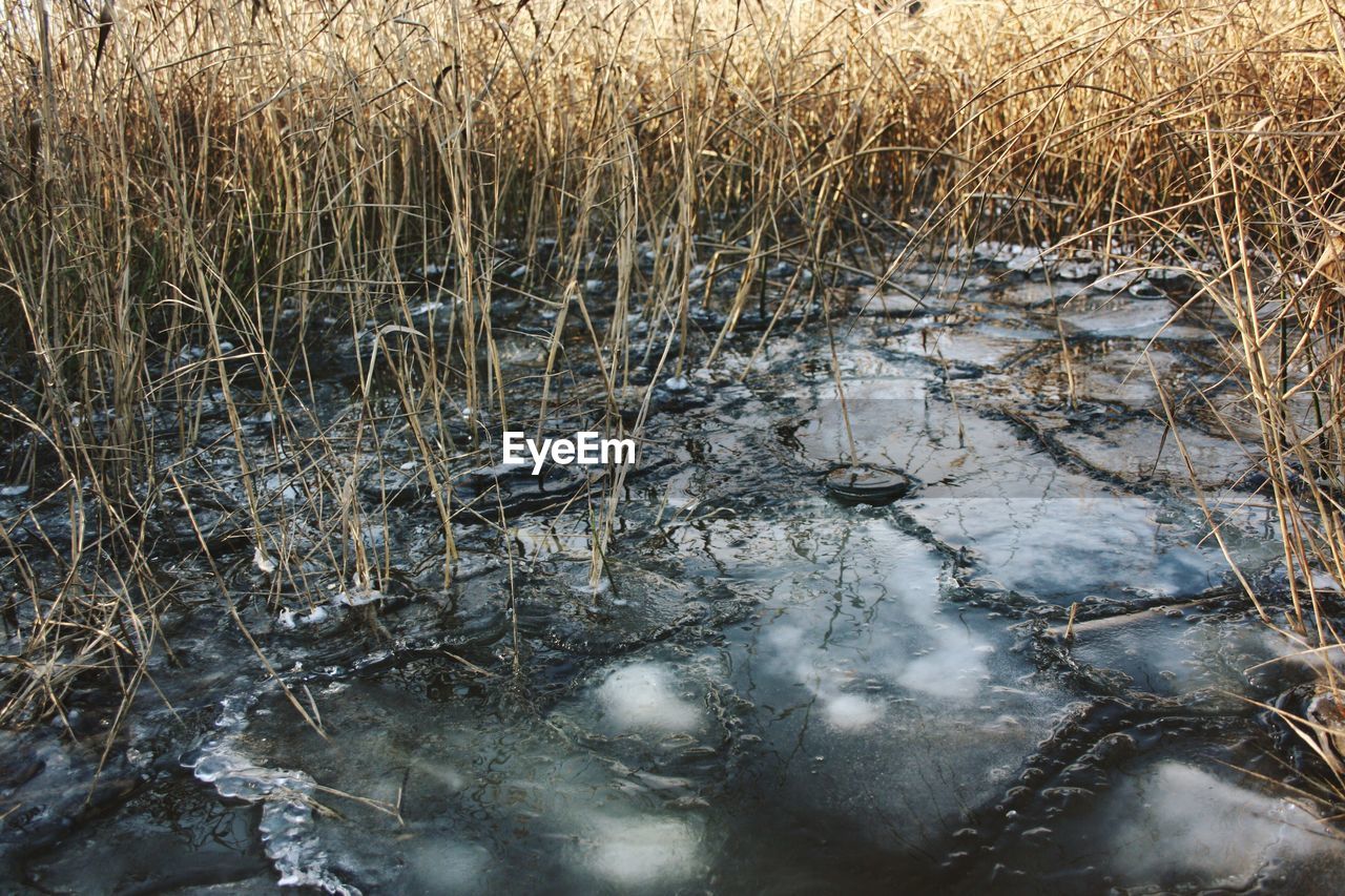 CLOSE-UP OF FROZEN WATER