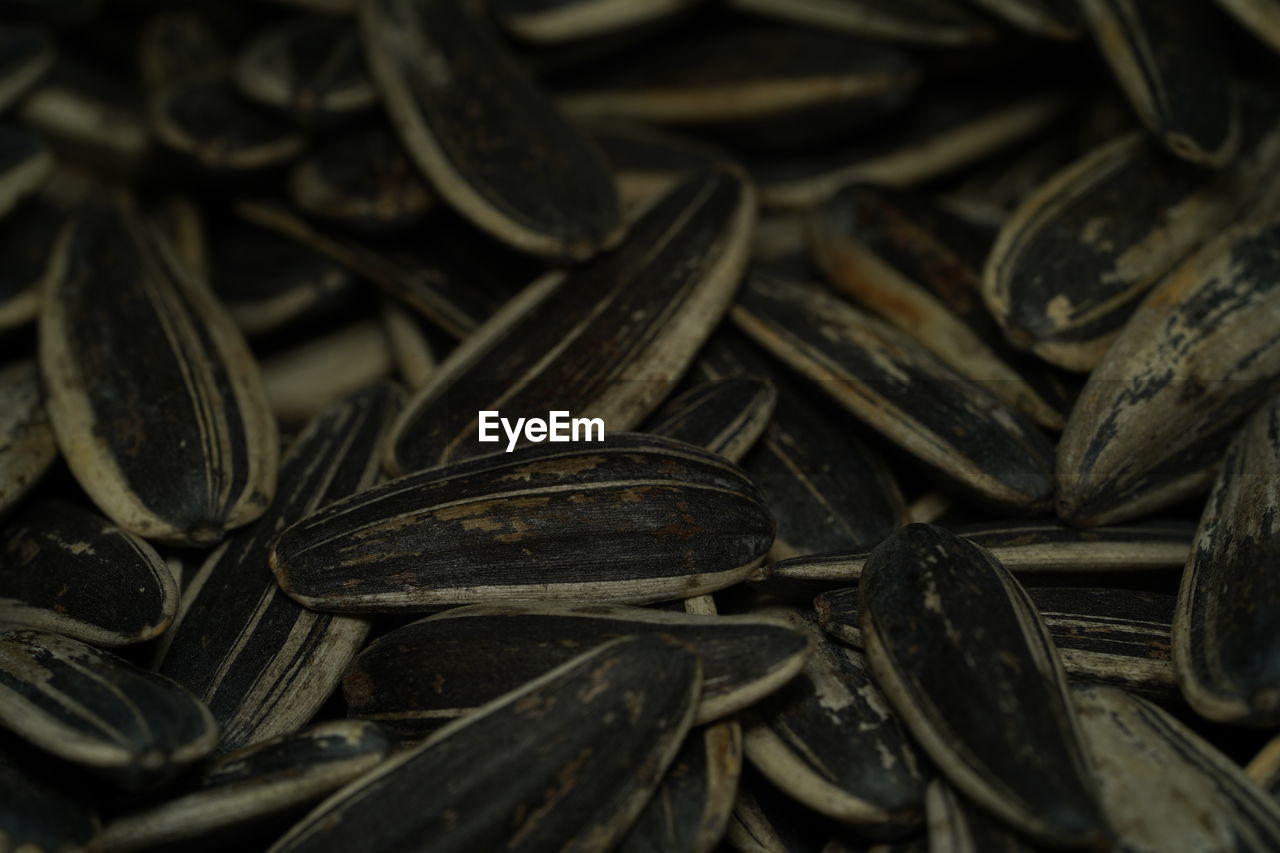 Full frame shot of sunflower seeds