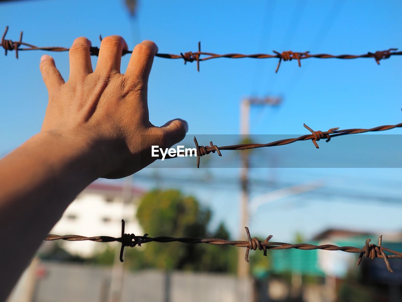 Close-up of hand holding barbed wire against sky