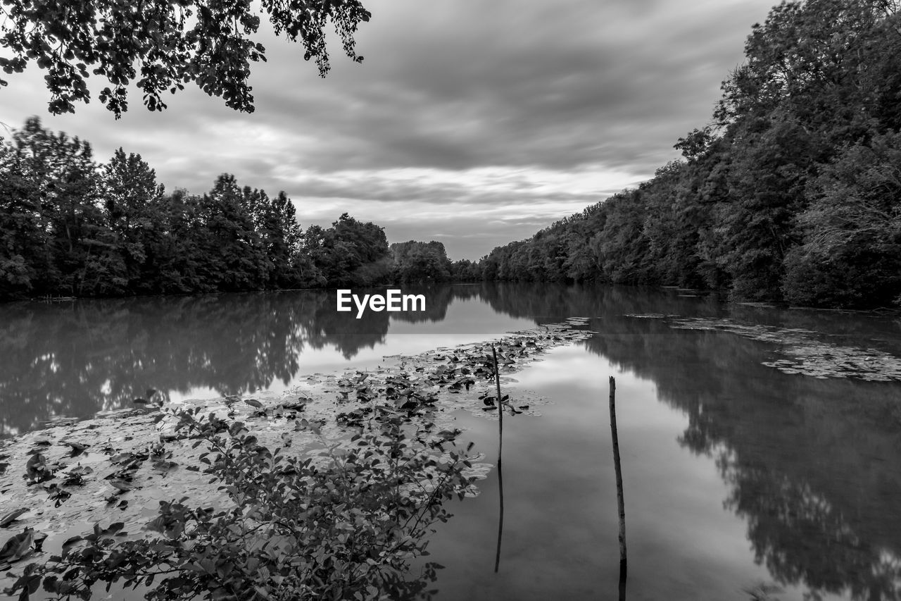 SCENIC VIEW OF LAKE AND TREES AGAINST SKY