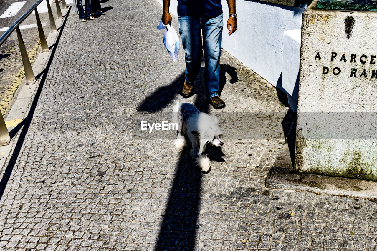 LOW SECTION OF MAN WALKING ON COBBLESTONE STREET