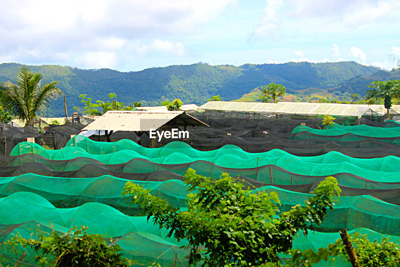 SCENIC VIEW OF TREE MOUNTAINS AGAINST SKY