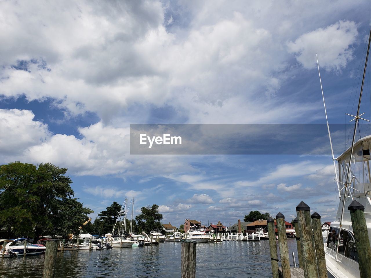 Sailboats moored at harbor against sky