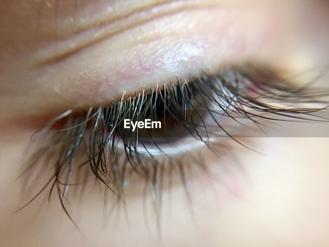 Close-up of human eye