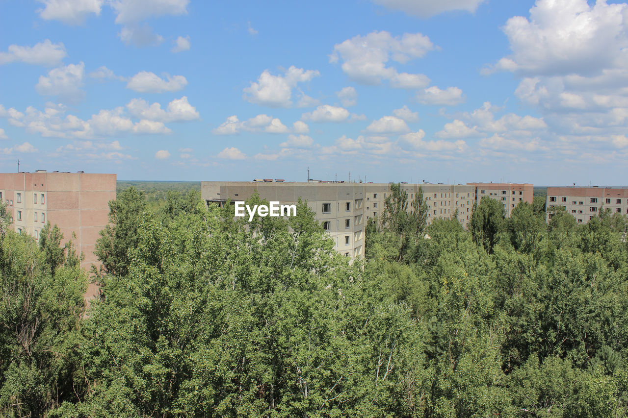 Panoramic shot of trees and plants against sky