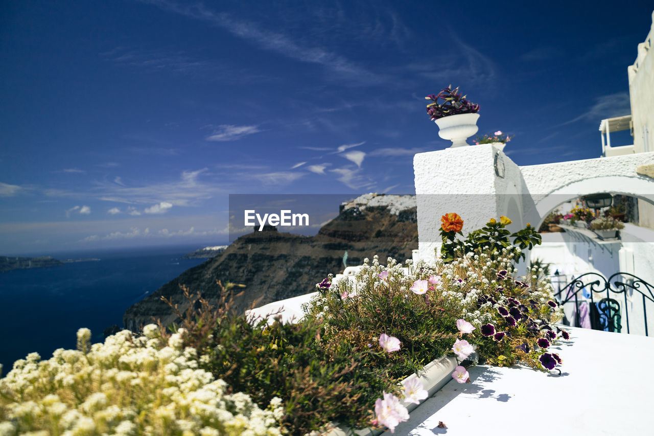 architecture, nature, sky, built structure, building exterior, travel destinations, plant, building, travel, flower, flowering plant, religion, beauty in nature, vacation, water, tourism, sea, mountain, place of worship, no people, scenics - nature, belief, blue, outdoors, landscape, tower, land, day, spirituality, white, environment, holiday, history, city, tree, the past, cloud, sunlight, trip, landmark