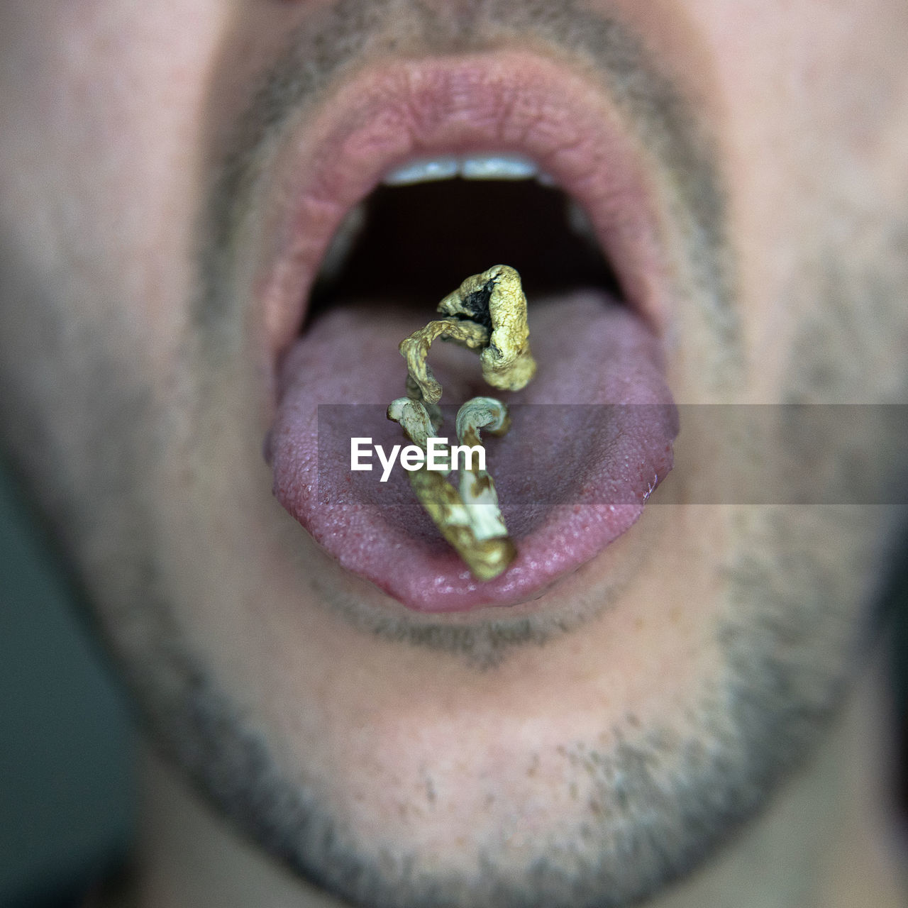 CLOSE-UP OF MAN HOLDING LEAF