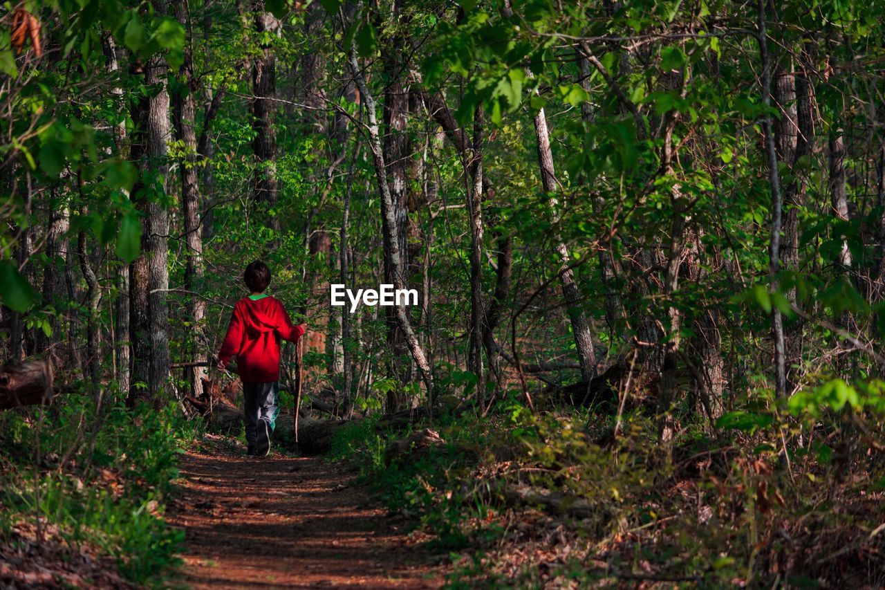 Rear view of child walking in forest