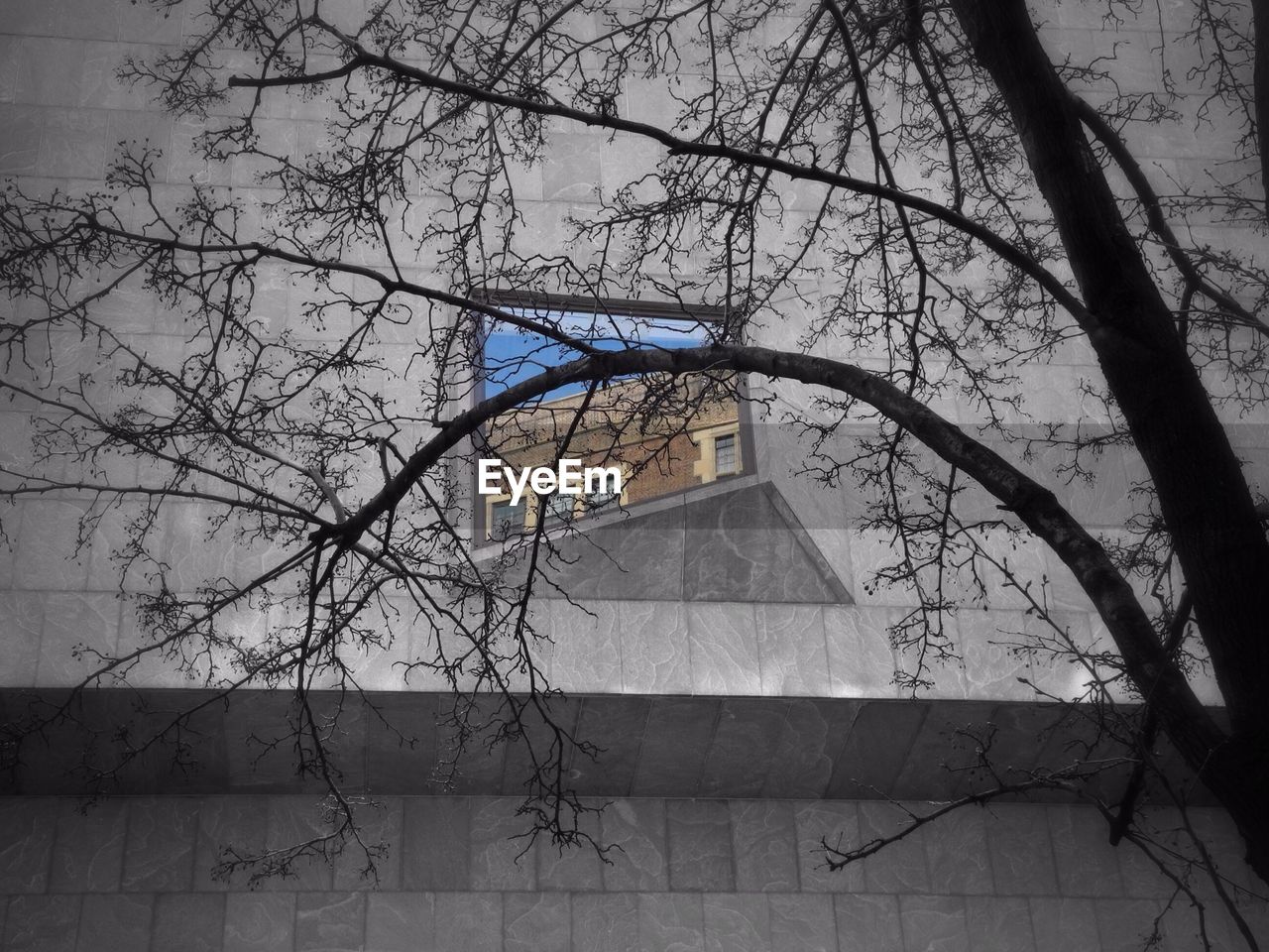 Low angle view of bare tree against building wall