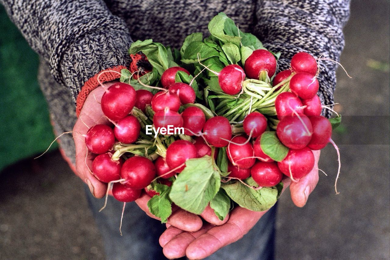 Midsection of man holding radishes while standing outdoors