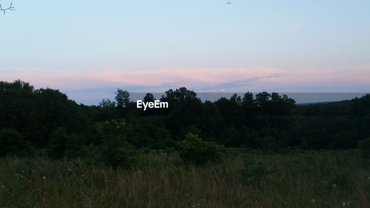 SCENIC VIEW OF FIELD AGAINST SKY DURING SUNSET