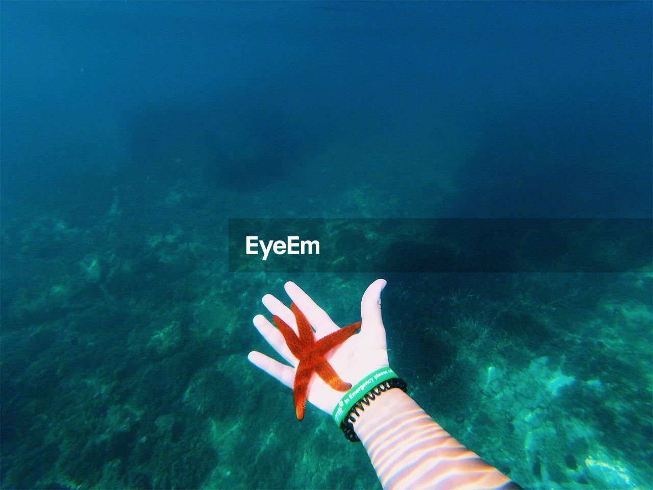 HIGH ANGLE VIEW OF PERSON PARAGLIDING IN SEA