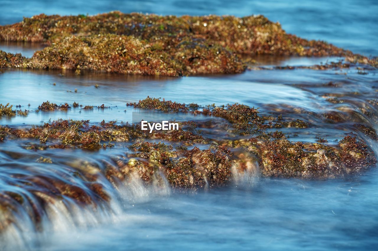 SCENIC VIEW OF SEA SHORE