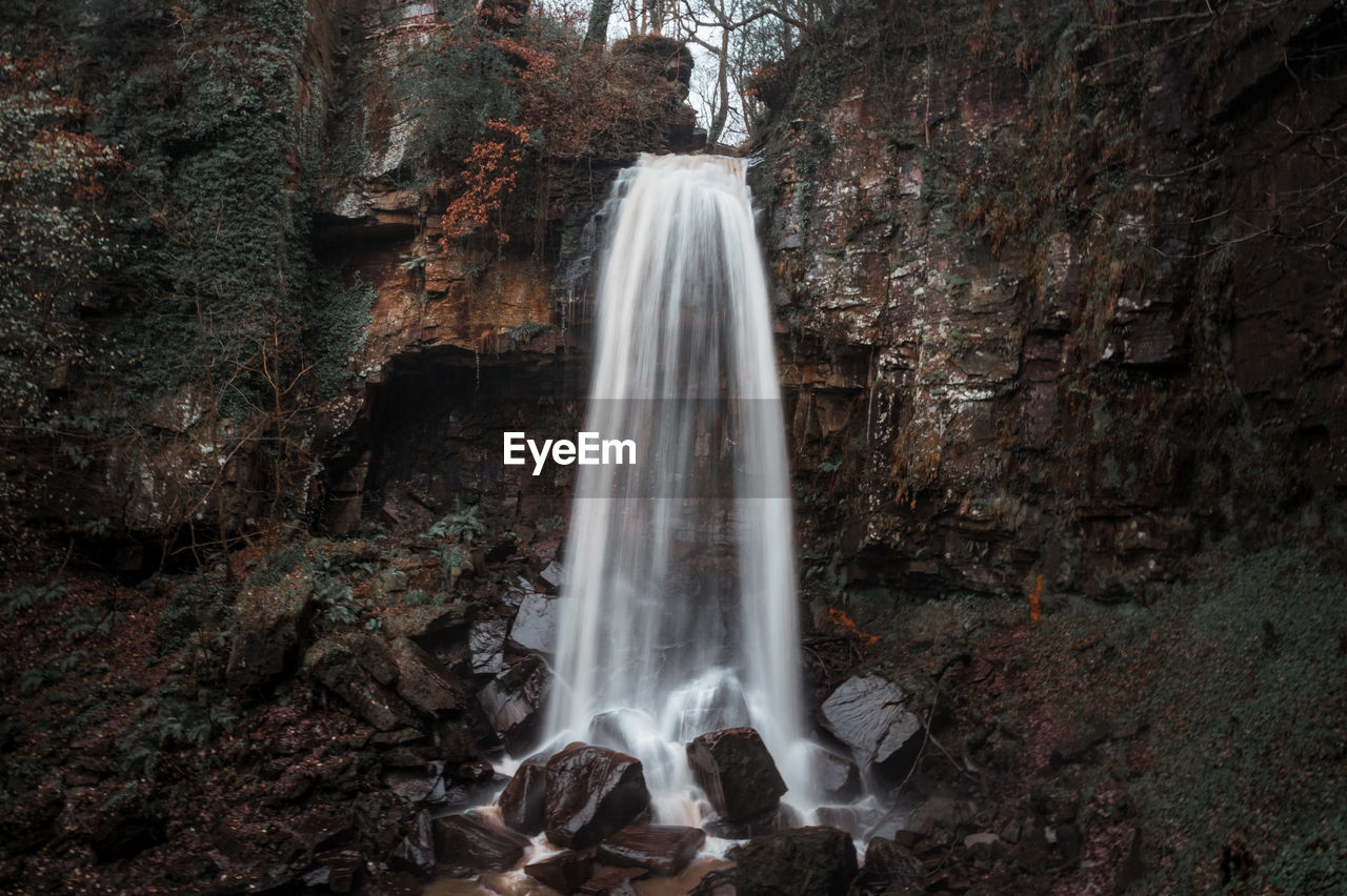 Waterfall in forest