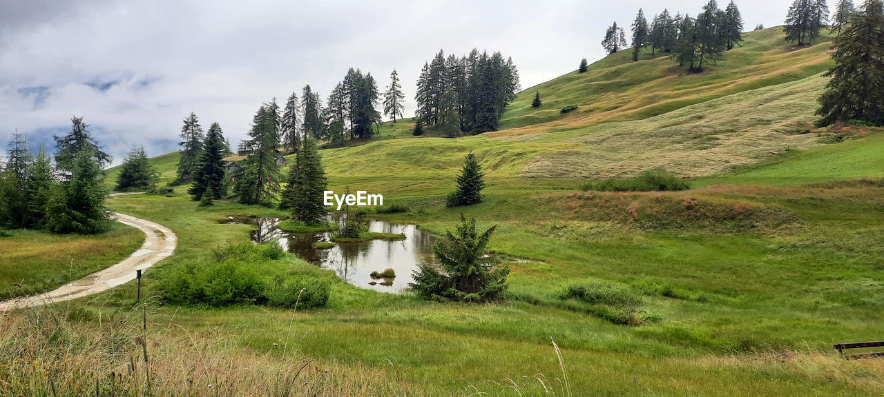 SCENIC VIEW OF LAND AGAINST SKY