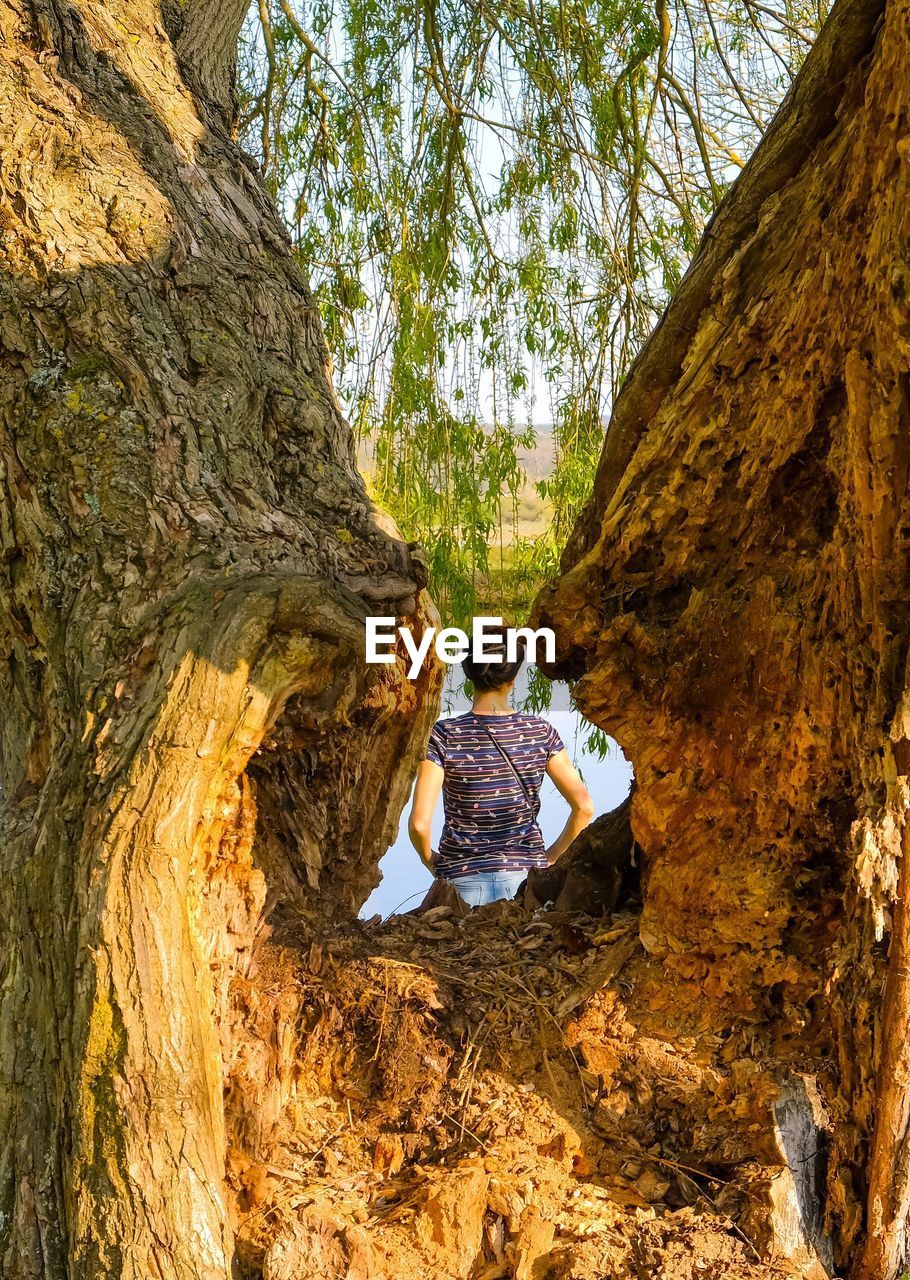 Rear view of woman seen through tree trunk 