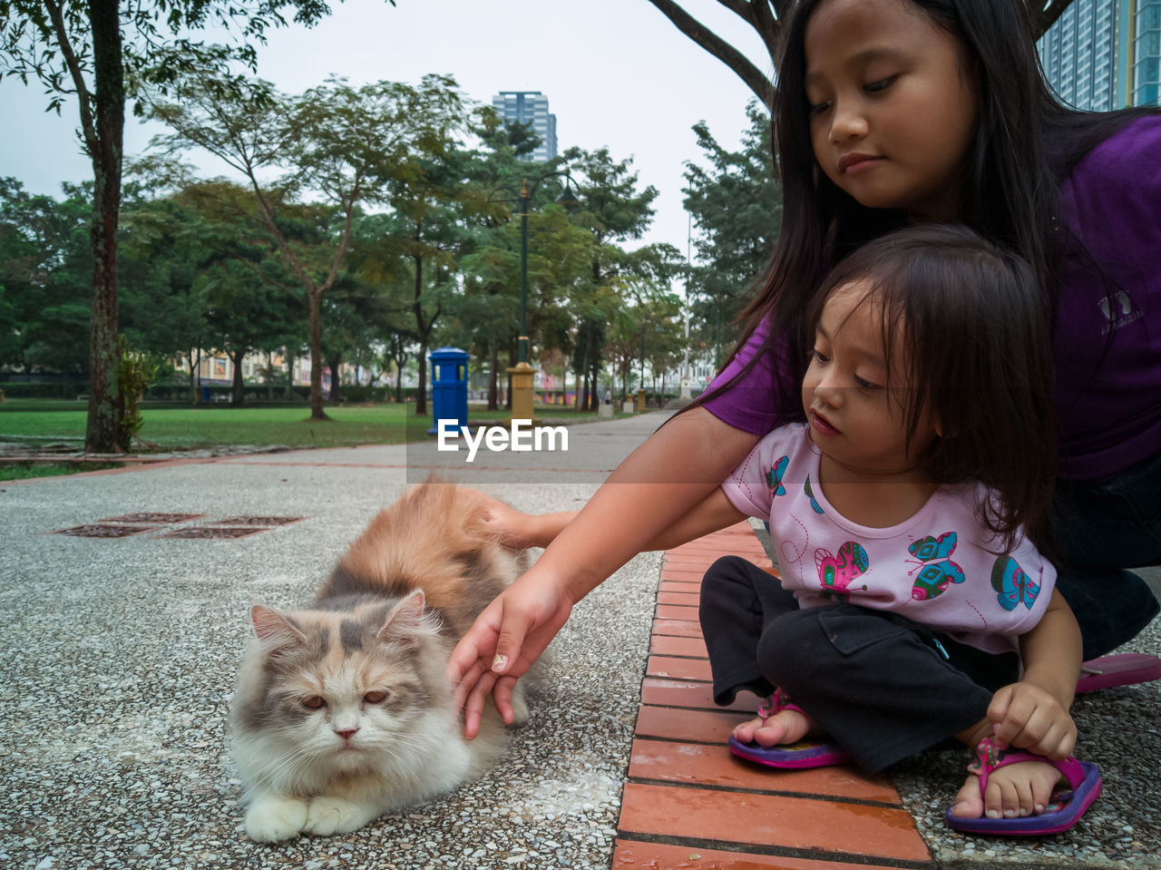 Portrait of girl with cat sitting outdoors