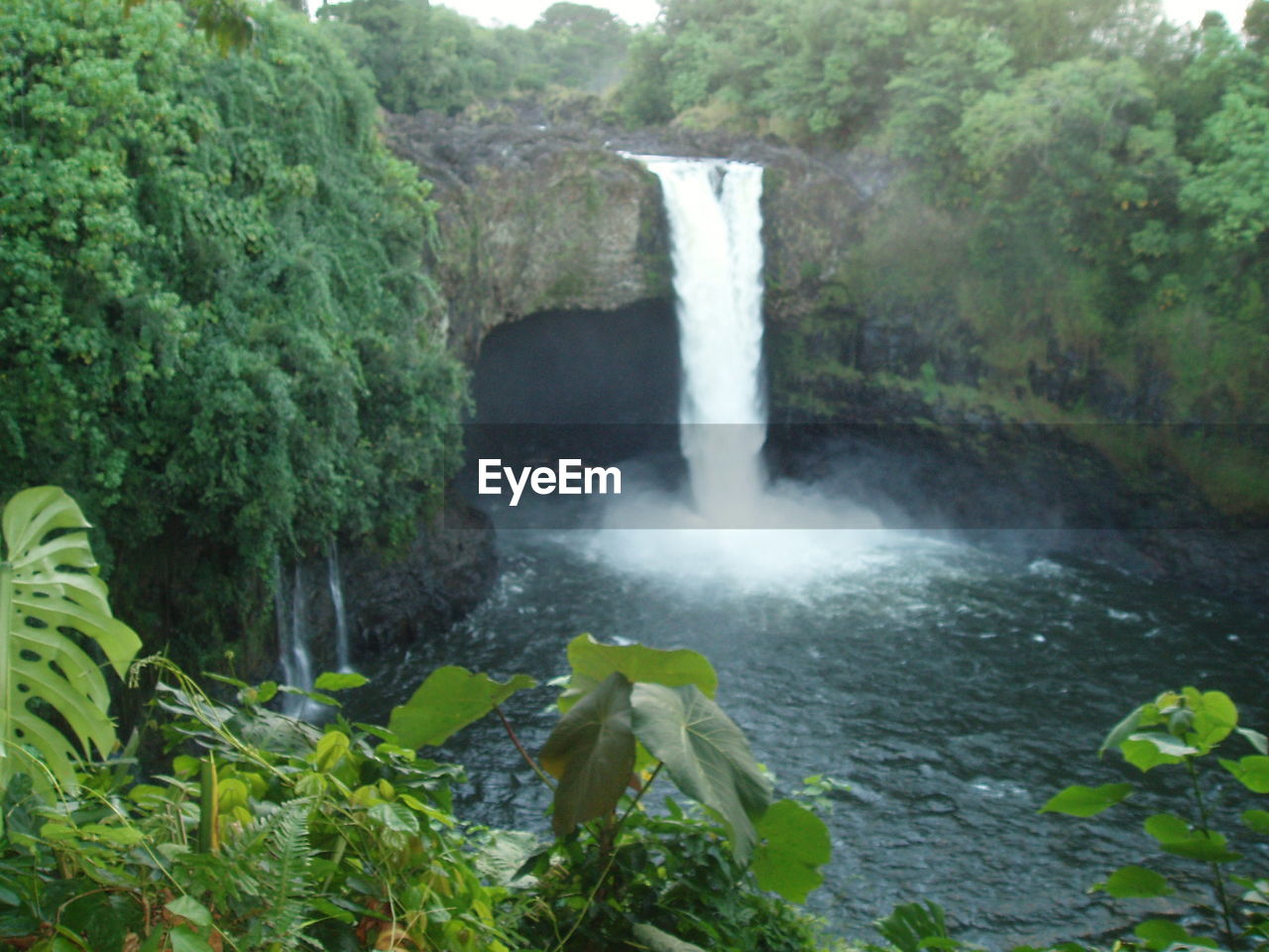 Scenic view of waterfall in forest