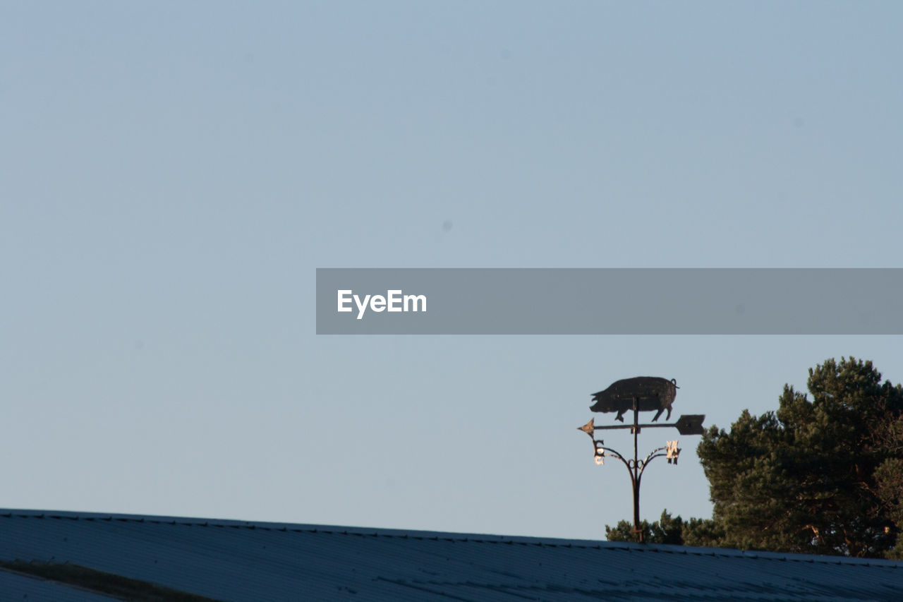 BIRD PERCHING ON CLEAR SKY