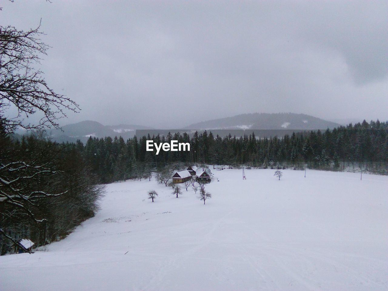 Trees and houses on snow field against sky