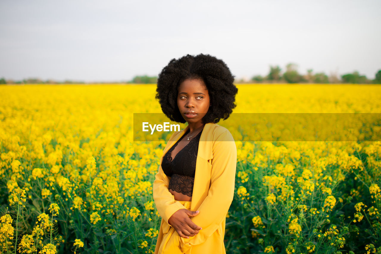 Pensive young african american female with curly hair dressed in black and yellow clothes looking away while standing amidst bright yellow flowers in blooming field