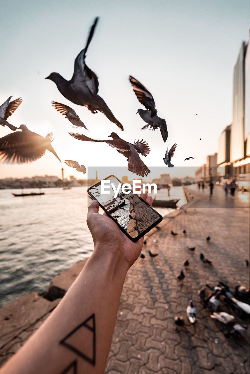 LOW ANGLE VIEW OF HAND HOLDING SEAGULL FLYING OVER LAKE