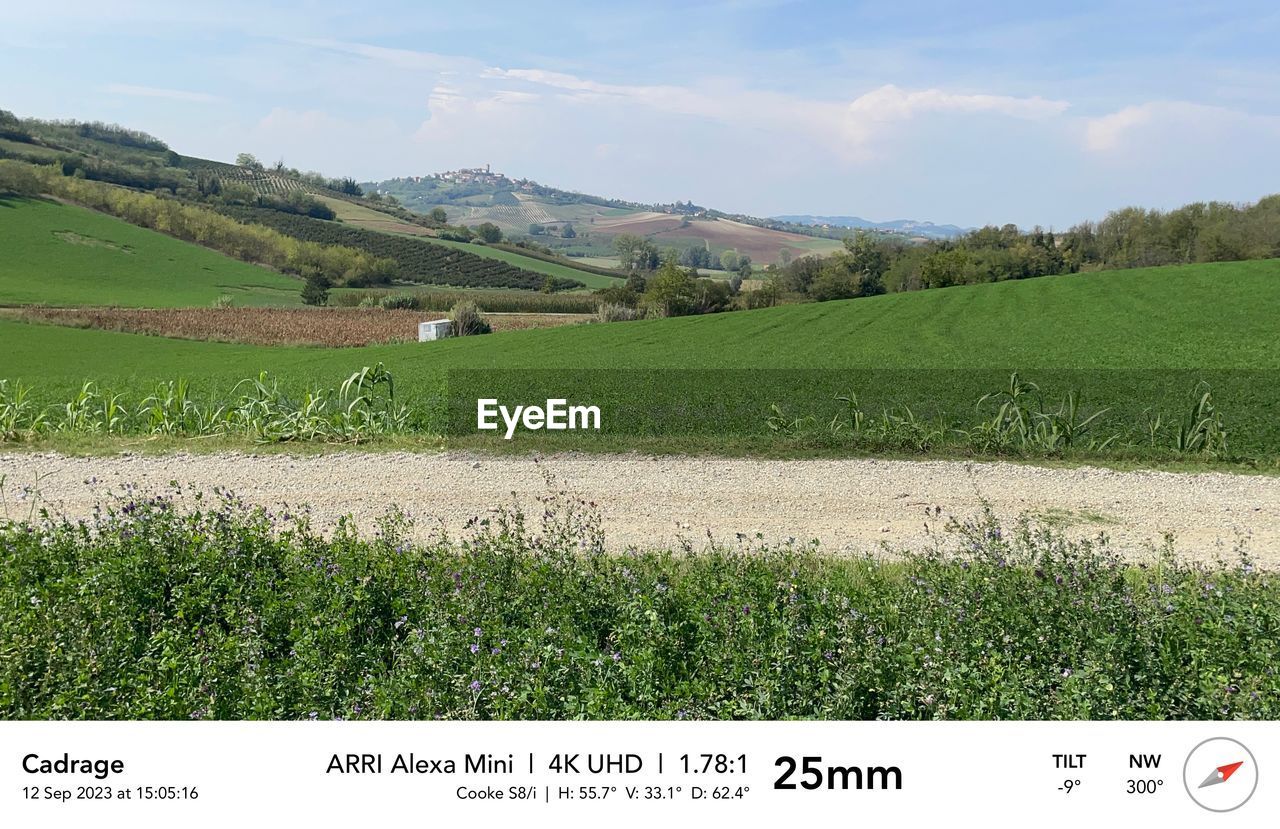 landscape, plant, environment, grassland, land, pasture, agriculture, nature, green, grass, field, rural scene, soil, sky, scenics - nature, plain, meadow, no people, beauty in nature, growth, text, crop, cloud, farm, tranquility, prairie, social issues, outdoors, day, tranquil scene, food and drink, mountain, tree, food, western script, plantation
