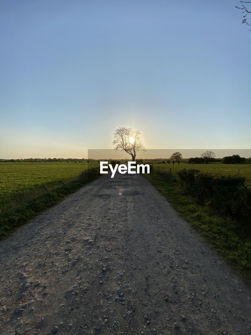 Dirt road amidst field against sky