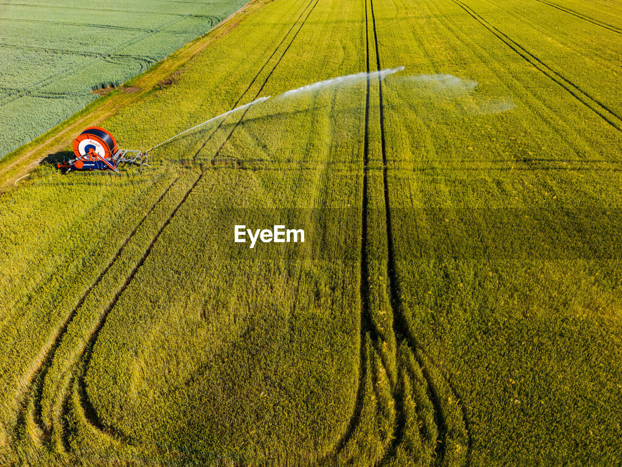 Aerial view of sprinkler system on a field with grain in summer, germany