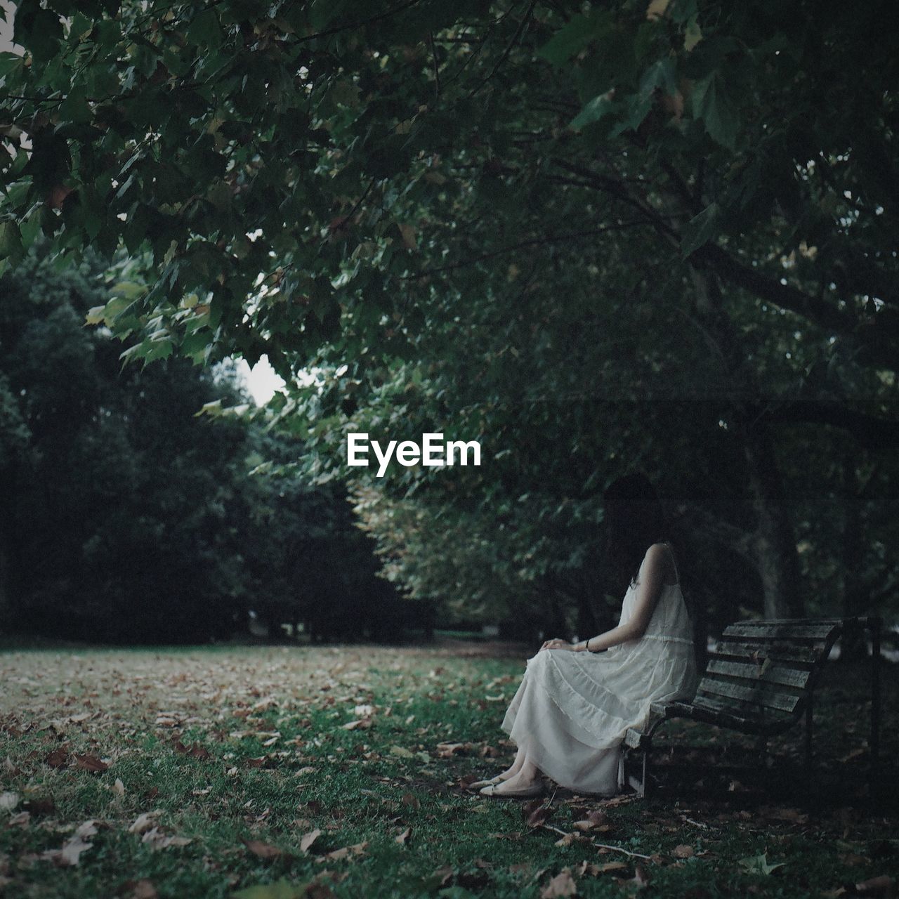 Side view of woman wearing dress while sitting on bench at park