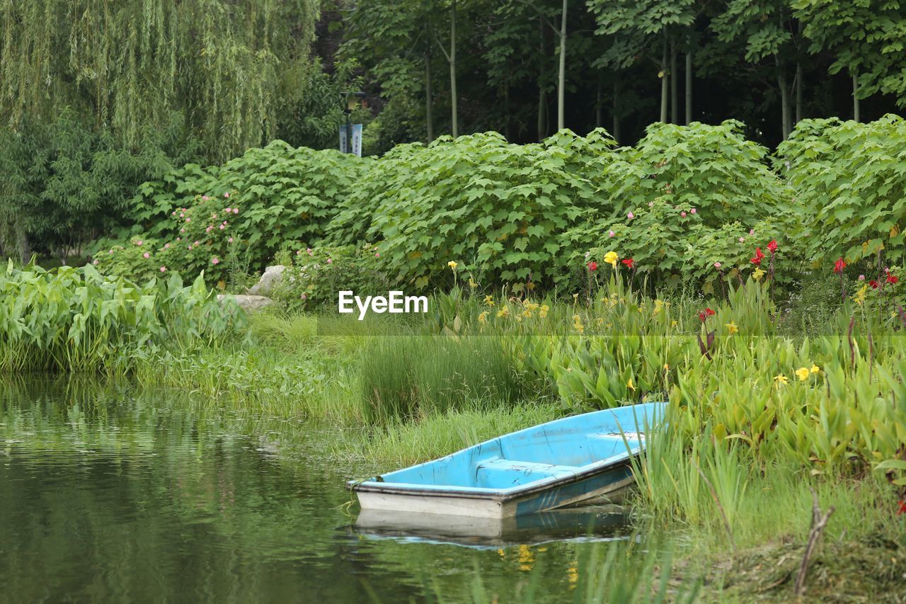 SCENIC VIEW OF LAKE WITH TREES IN BACKGROUND